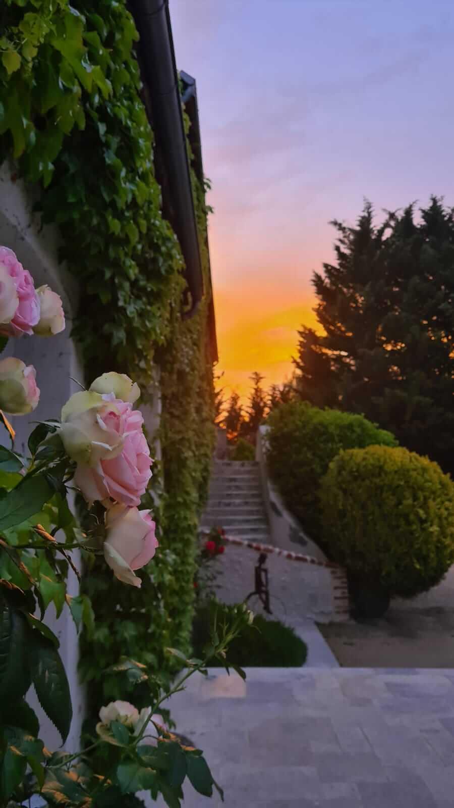 Domaine De La Blonnerie Bed & Breakfast Feings  Екстериор снимка
