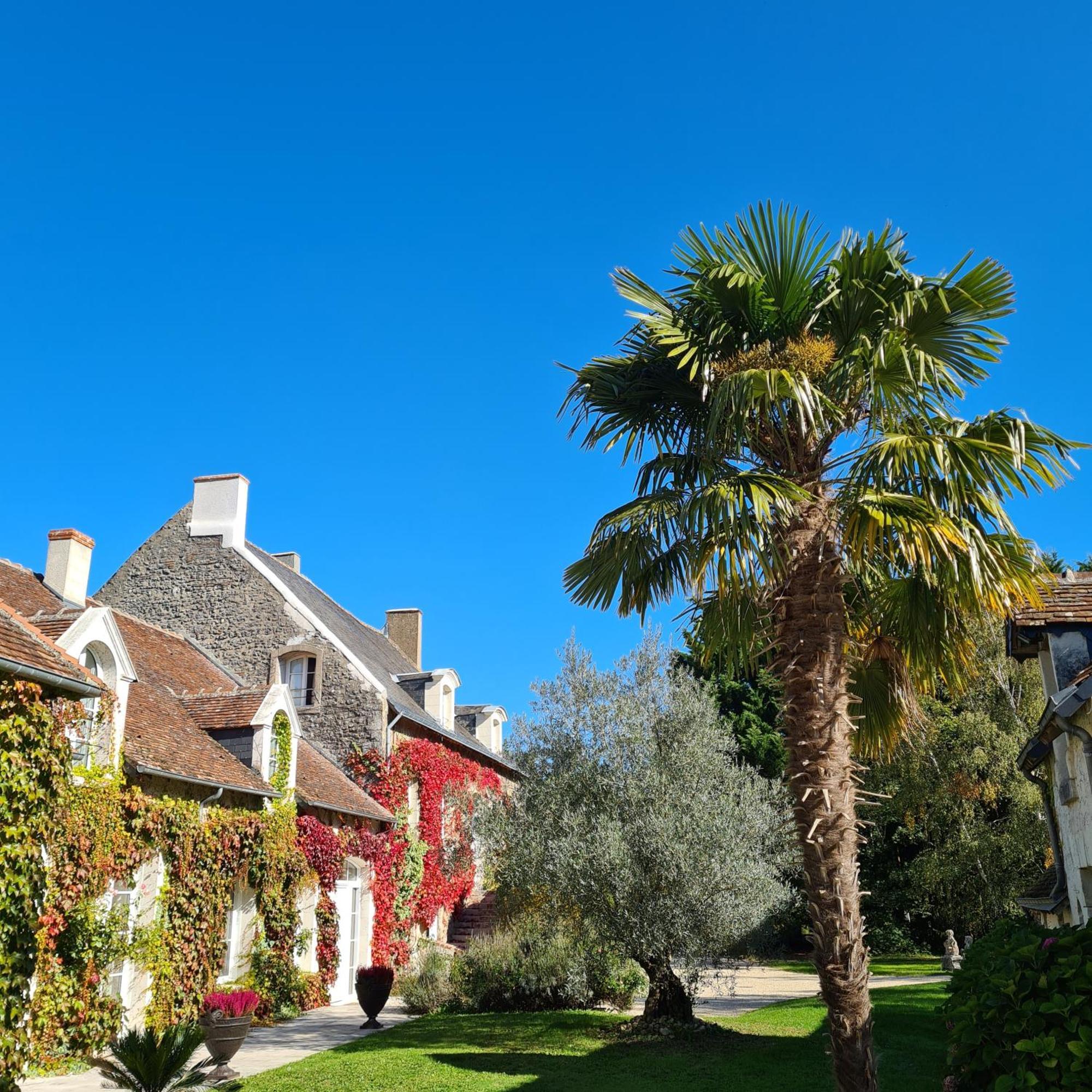 Domaine De La Blonnerie Bed & Breakfast Feings  Екстериор снимка